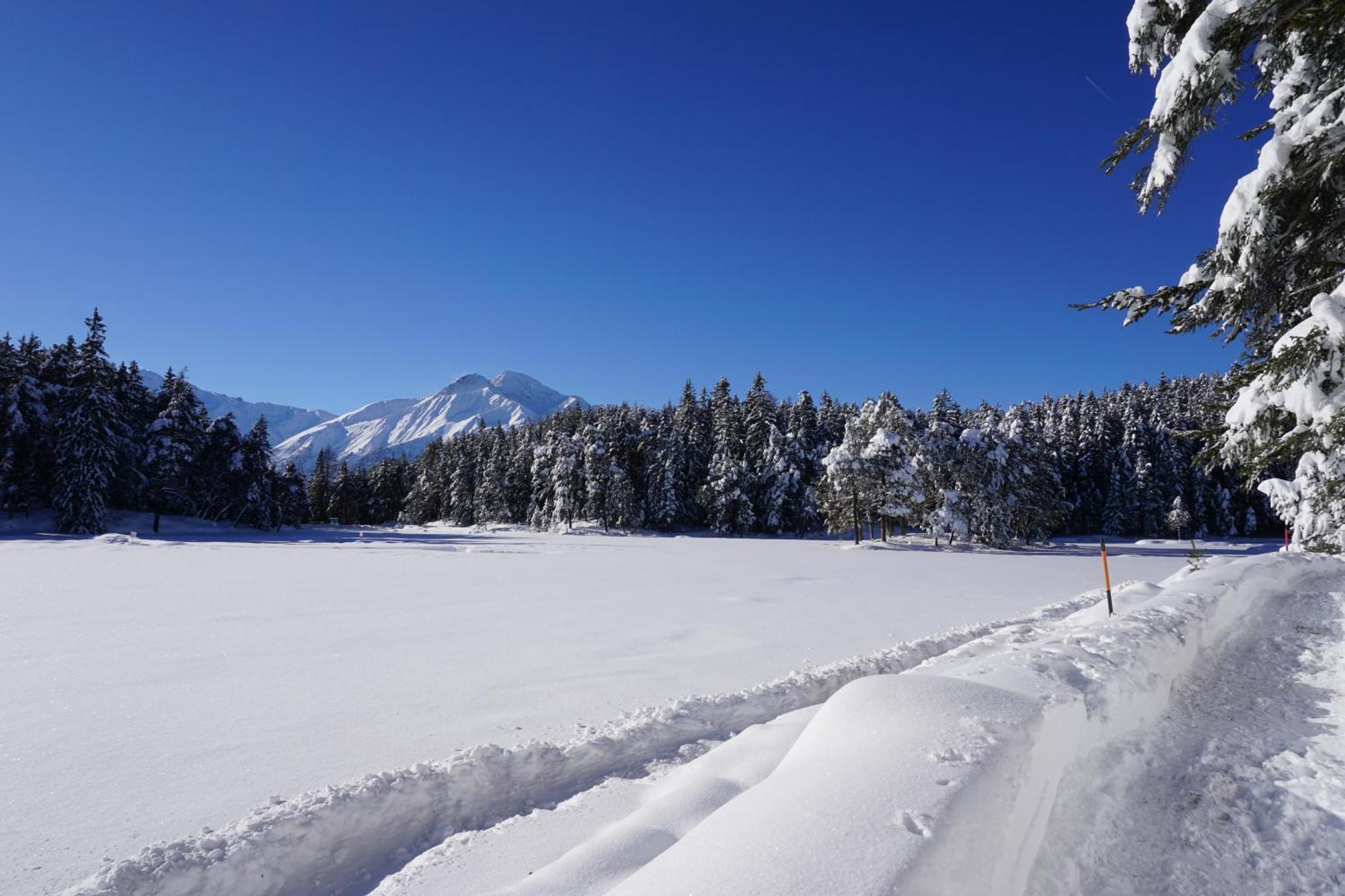 Hotel Pension Tyrol Seefeld in Tirol Exteriör bild